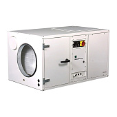 Осушитель воздуха Dantherm CDP 75 (MK II)*